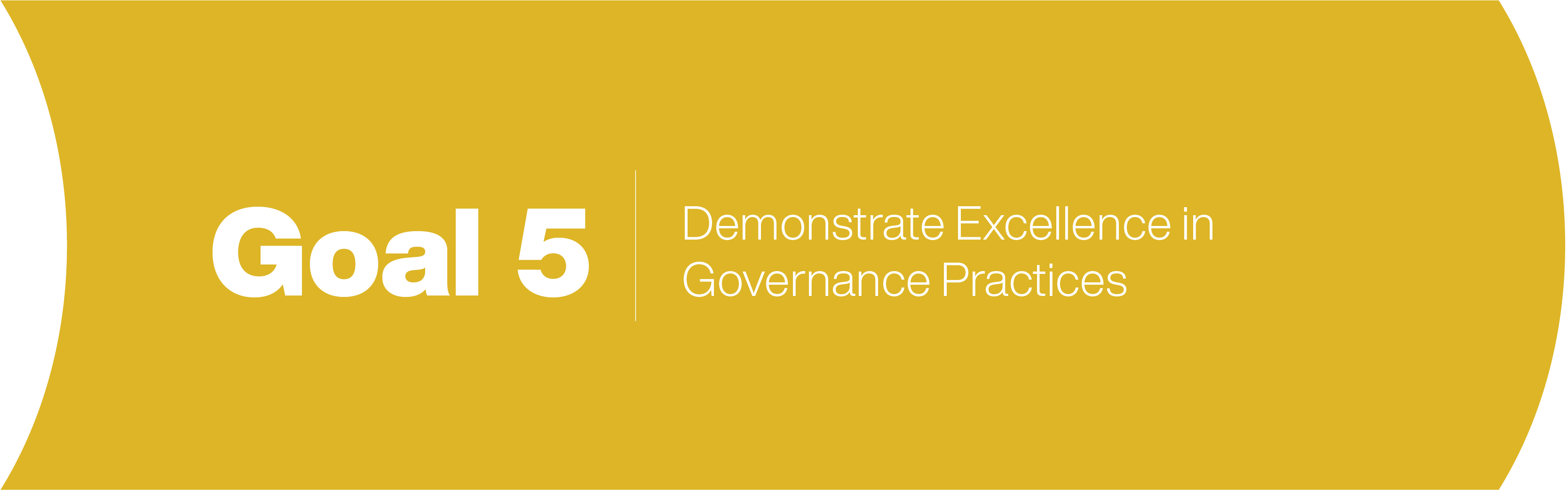 Demonstrate excellence in governance practices